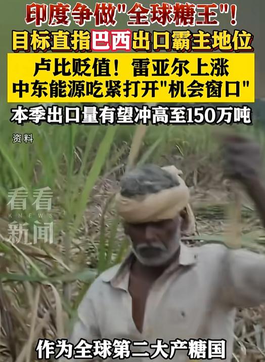 太猛了，印度硬刚巴西抢糖王宝座，一周狂揽10万吨订单，这波运气实力全占了 。
 