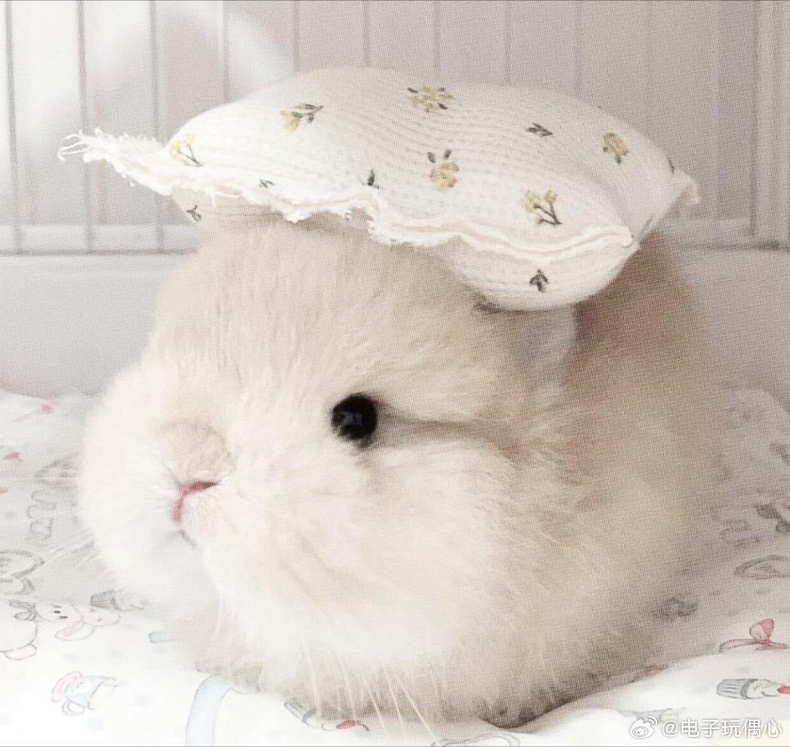 不要尽力而为，而要全力以赴，即使没有出色的外表和能力，也要有压倒一切的霸气，用自