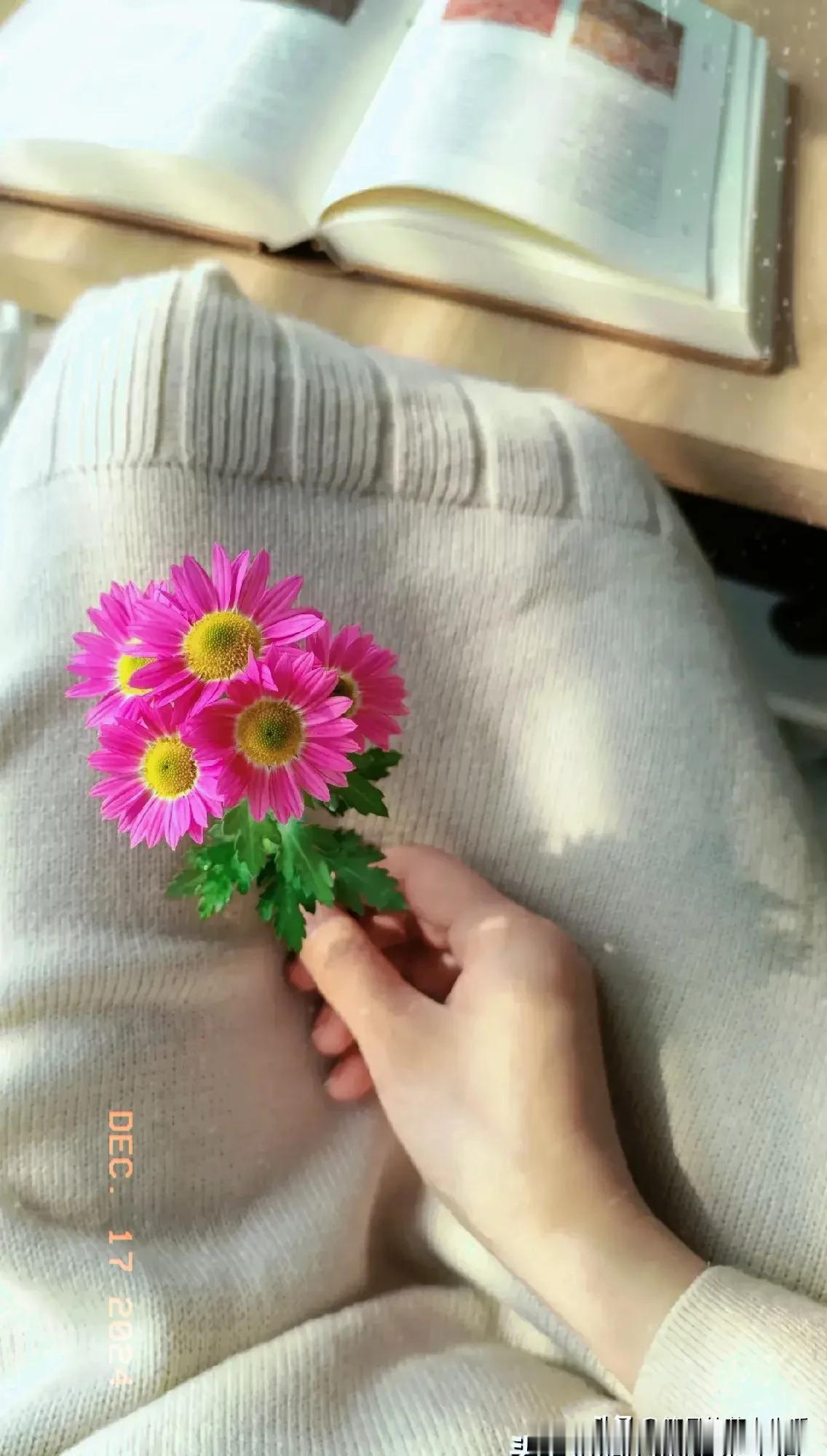 越来越喜欢下班后呆在办公室，不只是向阳的温暖，更是众人离去后的安静。望着窗外掉了