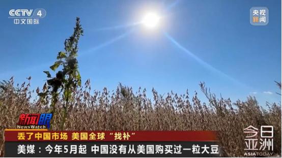 美国大豆为什么非要卖给中国？其实，站在美国的角度，三年不卖给中国大豆，扩大国内内