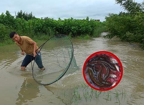 “四川，一男子在暴雨天气下来到他人鱼塘抓鱼，岂料，因起身时未能站稳，男子竟落入水