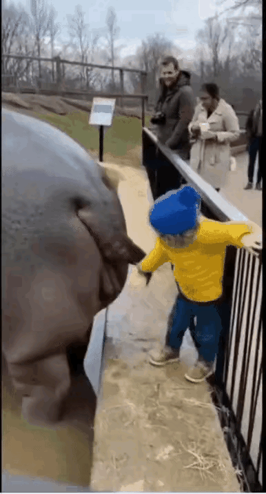 问一下这孩子洗洗还能要吗？