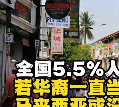 《全国5.5%人都跑了？若华裔一直当不上总理，马来西亚或没有未来？》全国5.5%