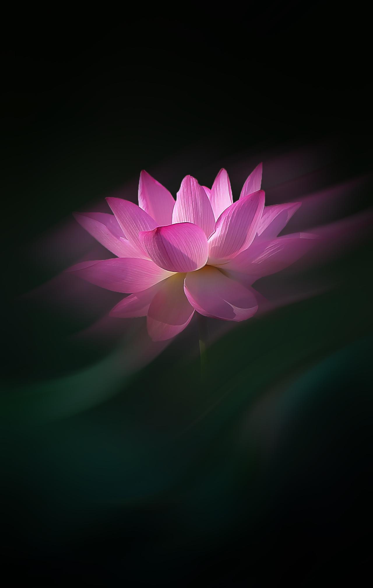 年少总以为亲情是长久捆绑的羁绊，是理所应当的兜底，直到走过半生才慢慢通透。血缘是
