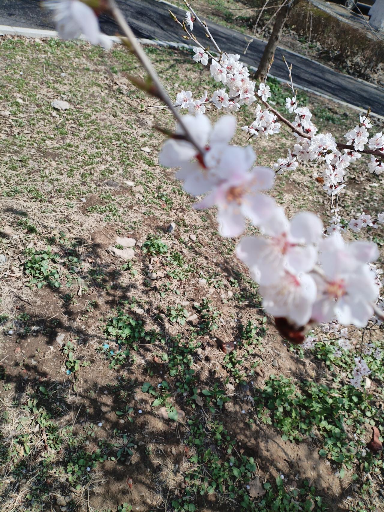 经常安慰自己的一句话是什么"我的价值不取决于这一件事的成败