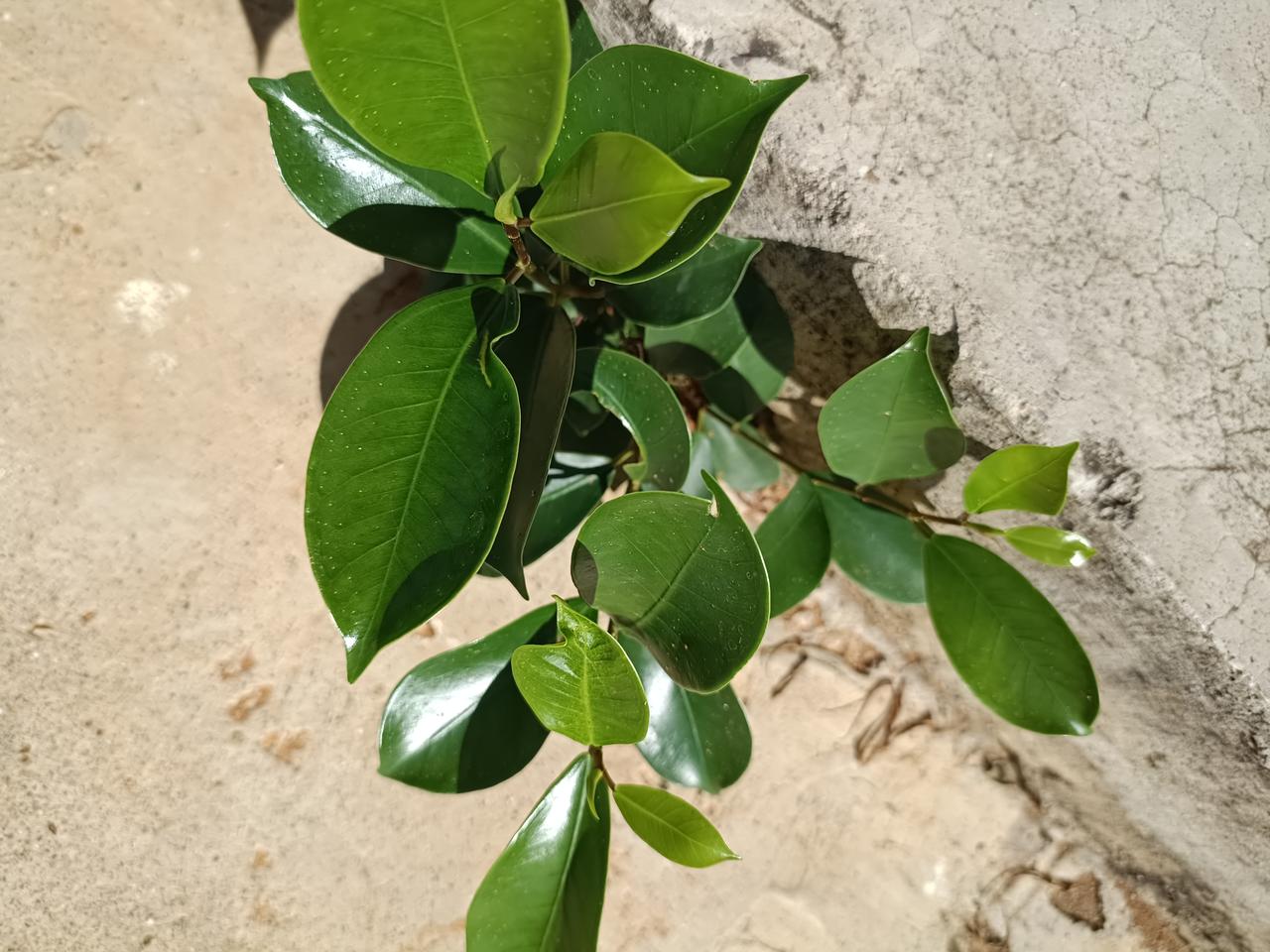一位火葬场工人说：“人火化后，骨灰没有保存的必要。很多人拿到的骨灰，其实都不是自