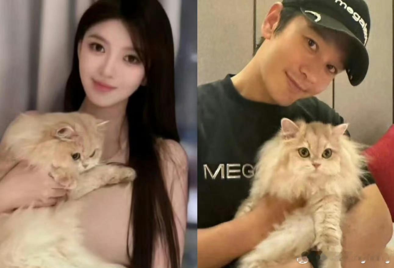 #叶珂说自己是倒贴不是捞女#我觉得黄晓明挺有眼光，叶柯不仅漂亮，声音也好听，挺有