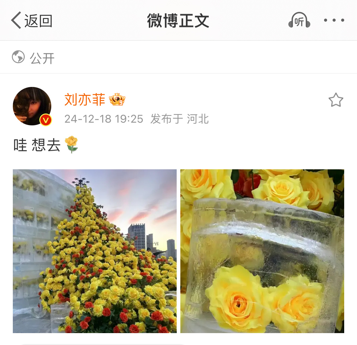 什么？我没看错吧……刘亦菲真的去了哈尔滨打卡冰封黄玫瑰哎！[憧憬]好耀眼的黄亦玫