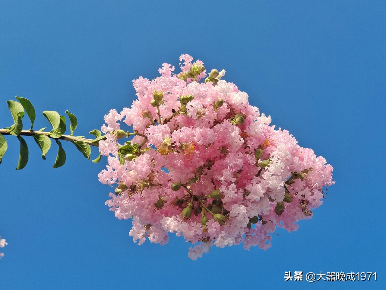 学历高不等于能力强，你认为对吗？

网络上经常听到这句话：“学历高不等于能力强”