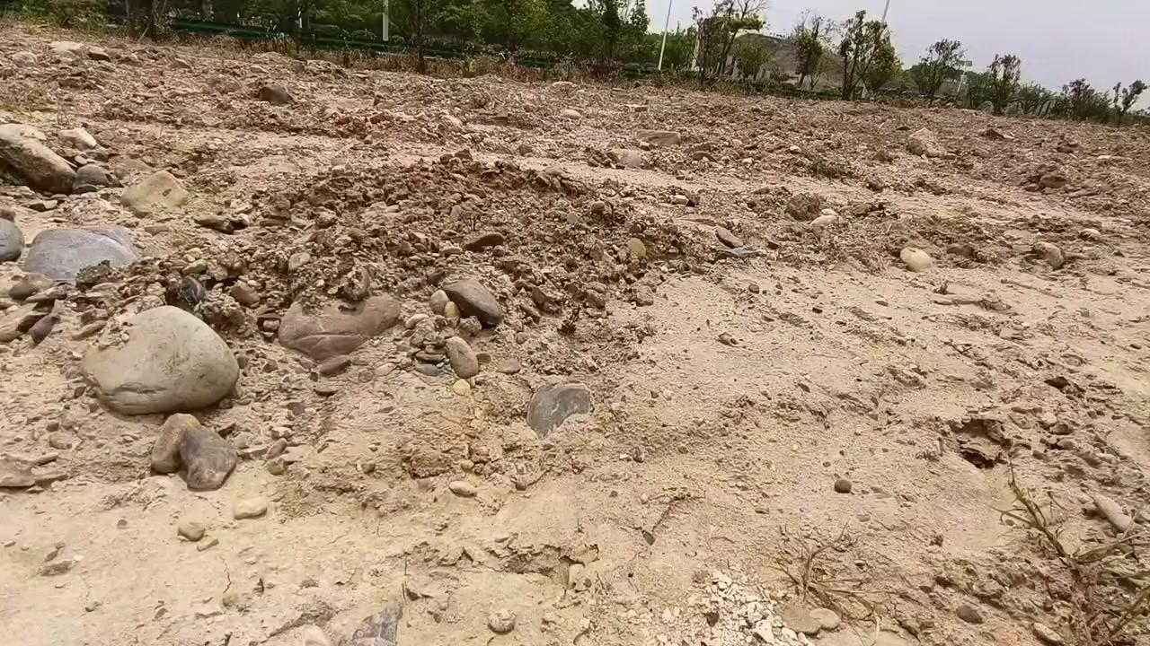 陨石捡石记：闪电纹太绝了！🔥冒着烈日去捡石头，其实是在找“星星”。看到这块石头
