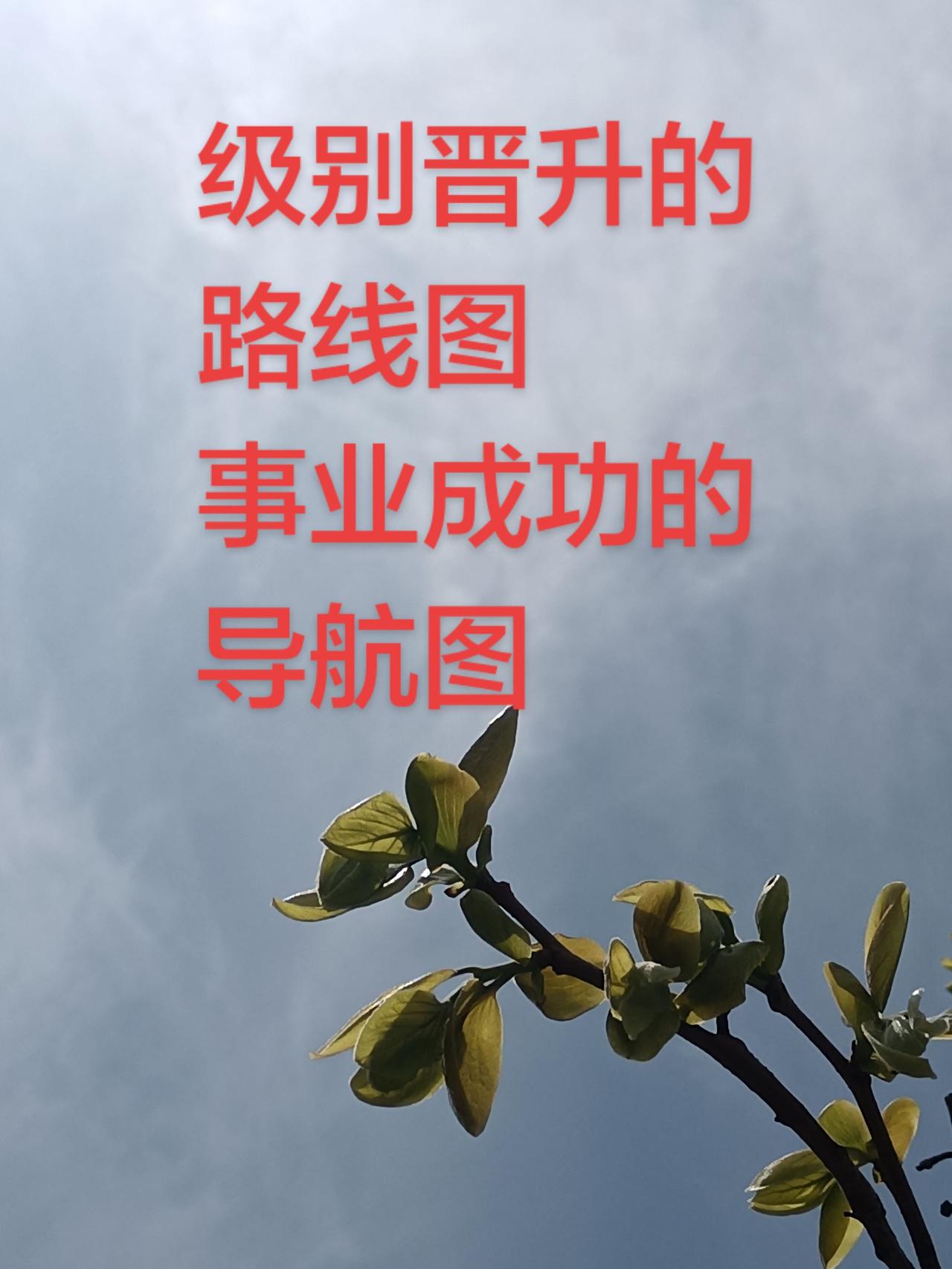 一路生花励志记录真实生活