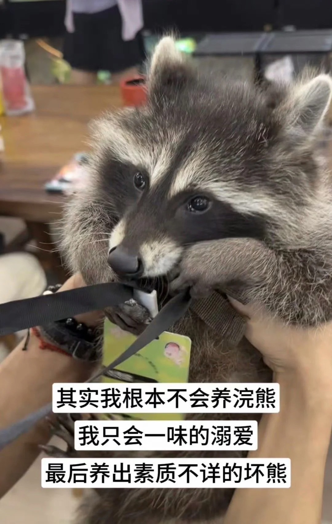 我真的看哭了。 