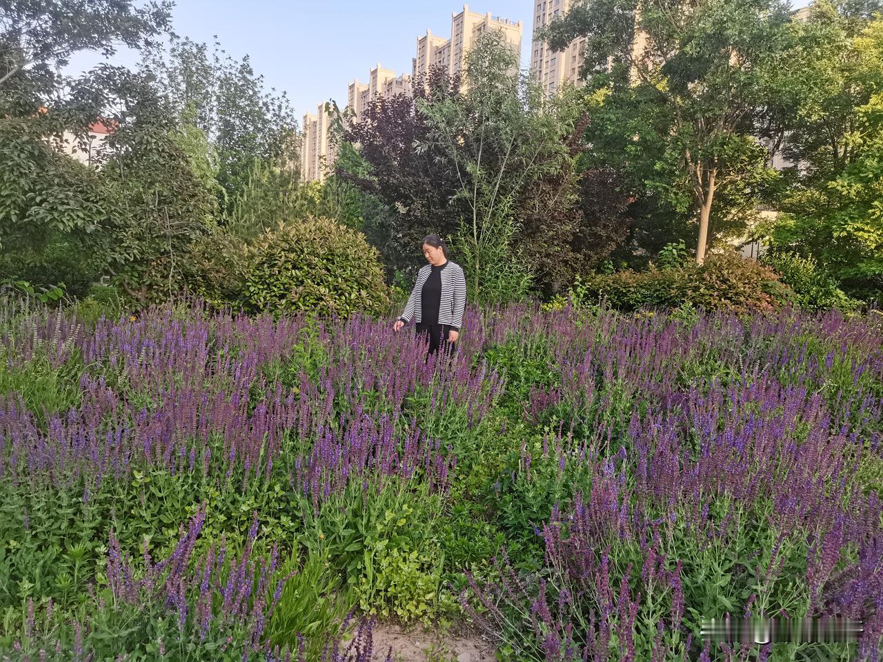 我觉得自己是个幸福的女人
虽然我目前没有钱
但是我结婚20年养育了3个宝贝
就是
