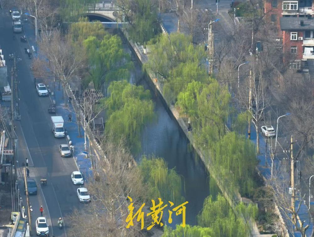 垂柳依依 济南工商河畔春色如画-app/#/content?catid=39&i