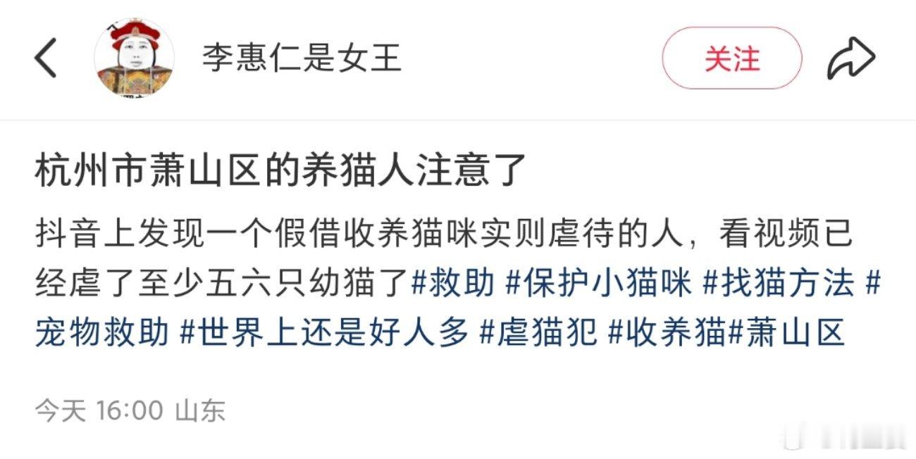 -杭州市萧山区的送养人注意了！！如果有给此人送养过的送养人也请及时确认小猫的安全
