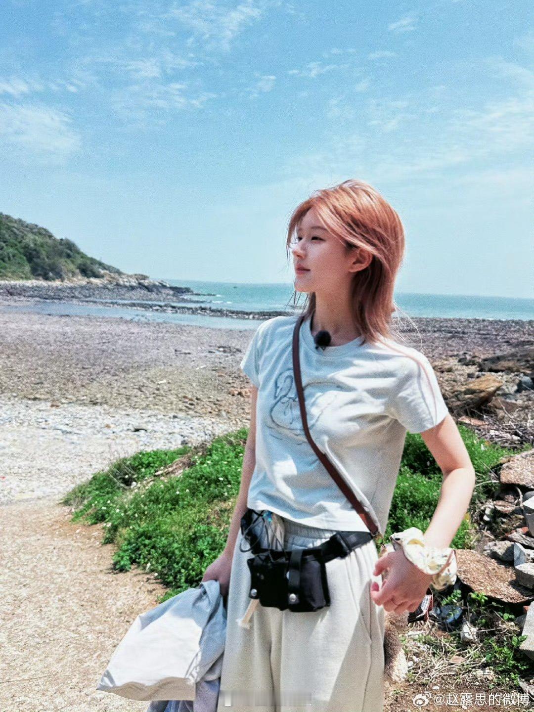 赵露思是真没招儿了赵露思发文控诉赵露思是真没招儿了，我不干了这话都说出来了 ​​