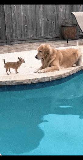 别不识抬举，我忍你很久了[打脸][打脸]