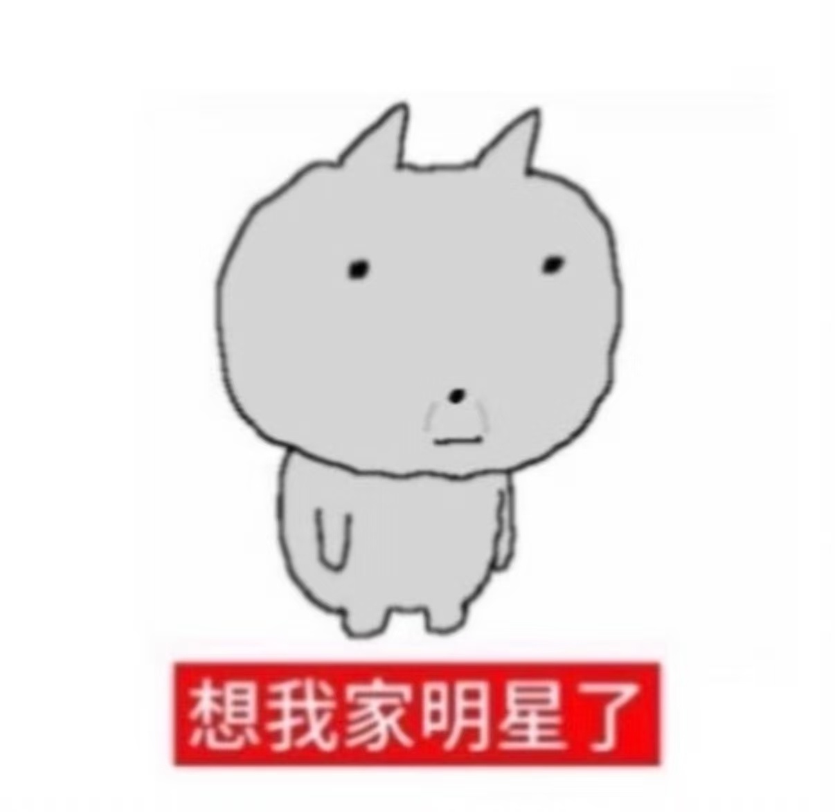 想我家明星了 ​​​