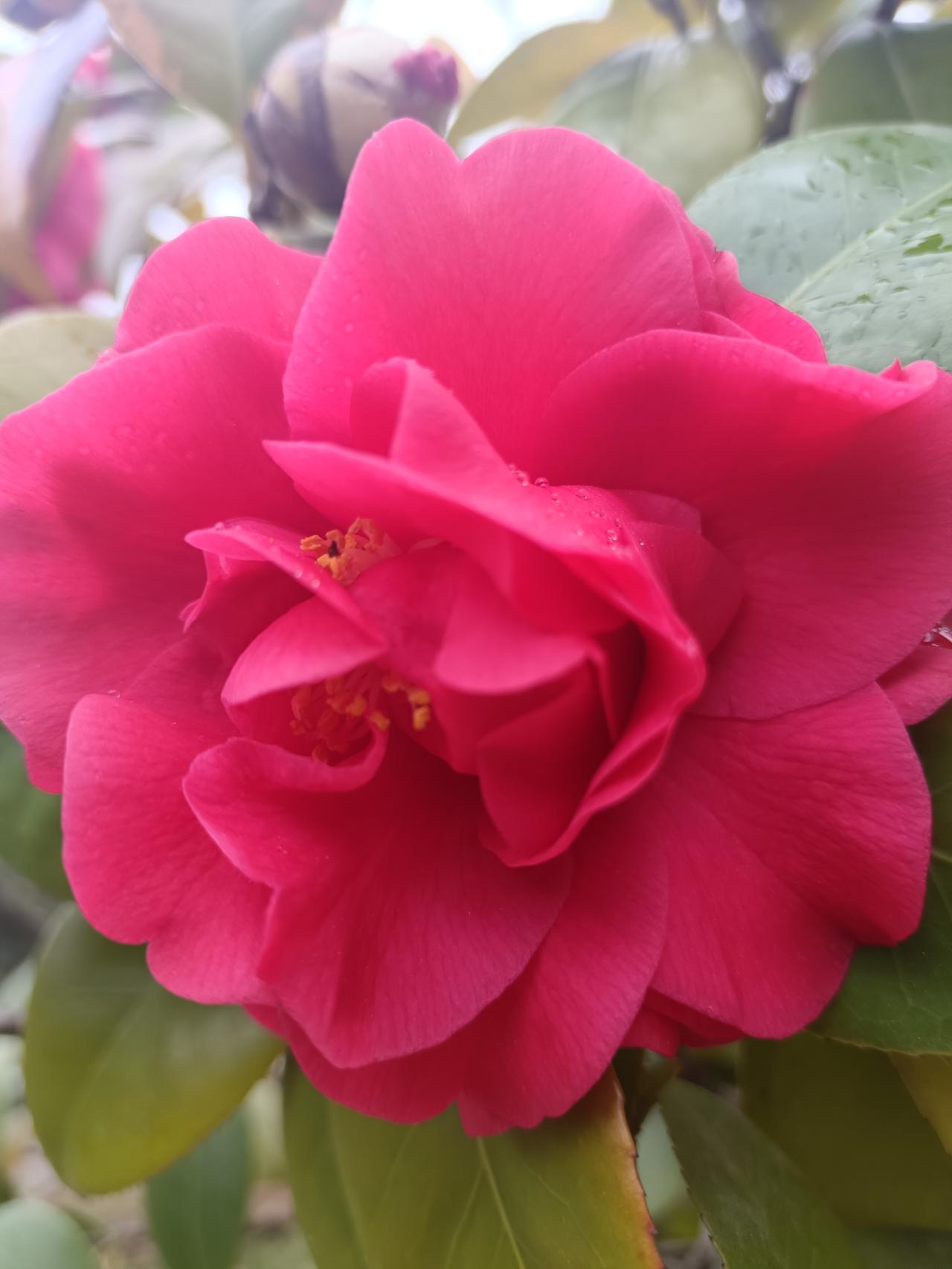 一生中君子爱才取之有道，在领导岗位上，廉生威。