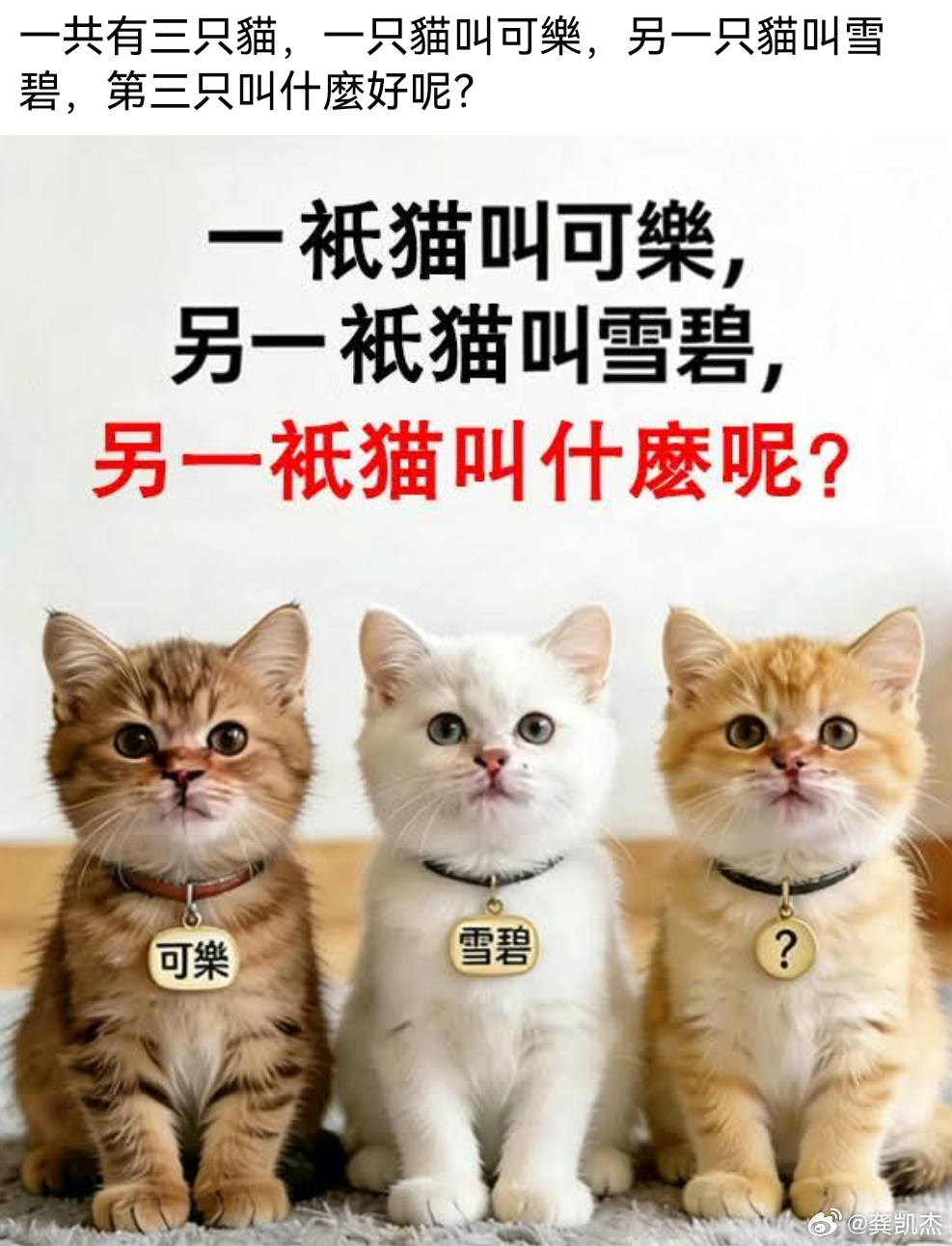 考考你，一共有三只猫，一只猫叫可乐，另一只猫叫雪碧，第三只叫什么好呢？ 