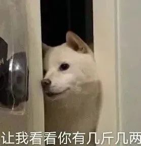 皇马对赫塔费的进攻选择：左边锋：卜拉欣、罗德里戈前锋：何塞卢右边锋：罗德里戈、卜