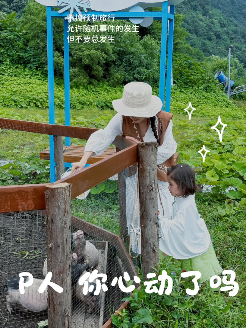 卷不动了 逃去西岭雪山live一下🎆真正的旅行，不在攻略里📚用老派的旅行方式
