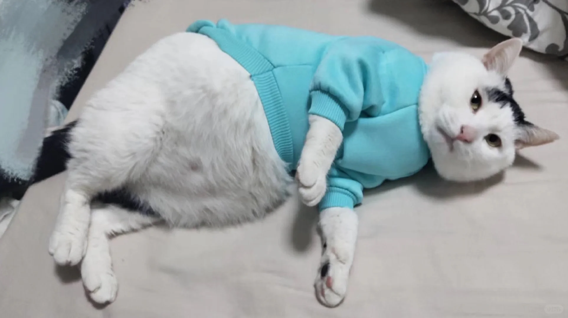 有没有适合大龄社畜的痛包啊