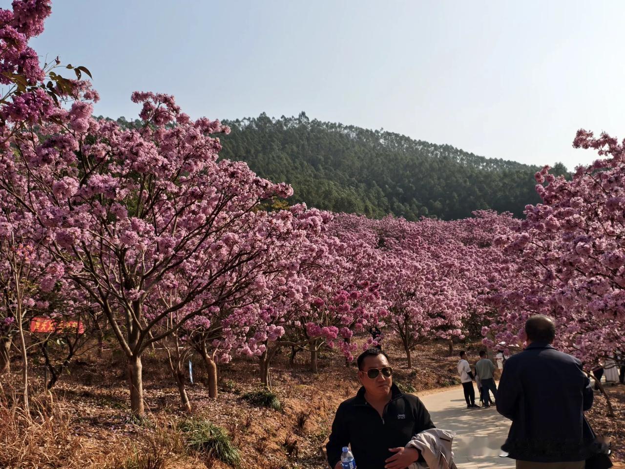 上句:张灯结彩送旧岁，
下句：鞭炮齐鸣迎新春。