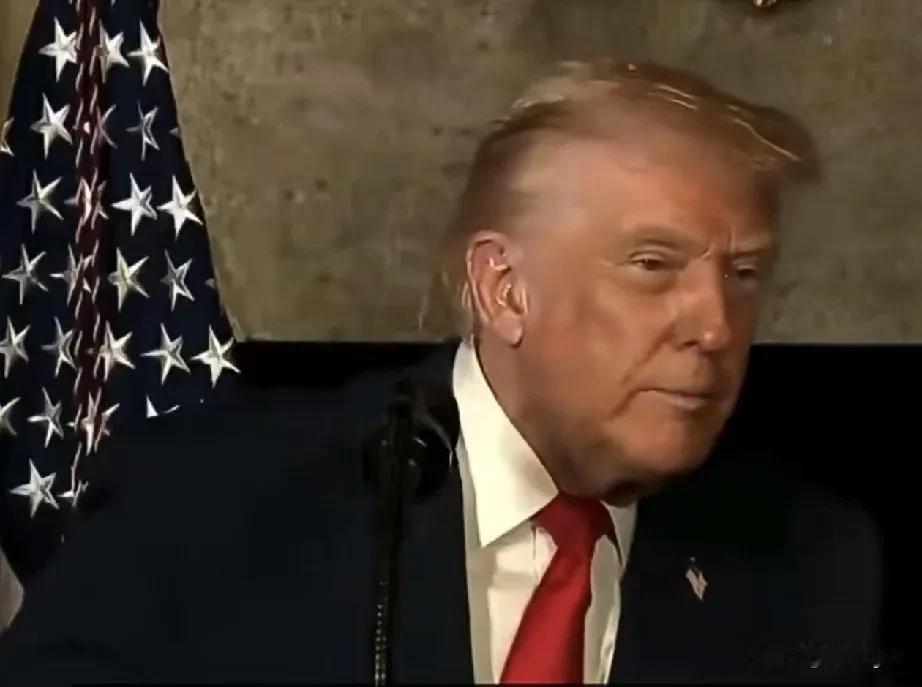 特朗普称，没美国，俄罗斯和中国对北约毫无畏惧；美国是中俄“唯一畏惧和敬重的国家。