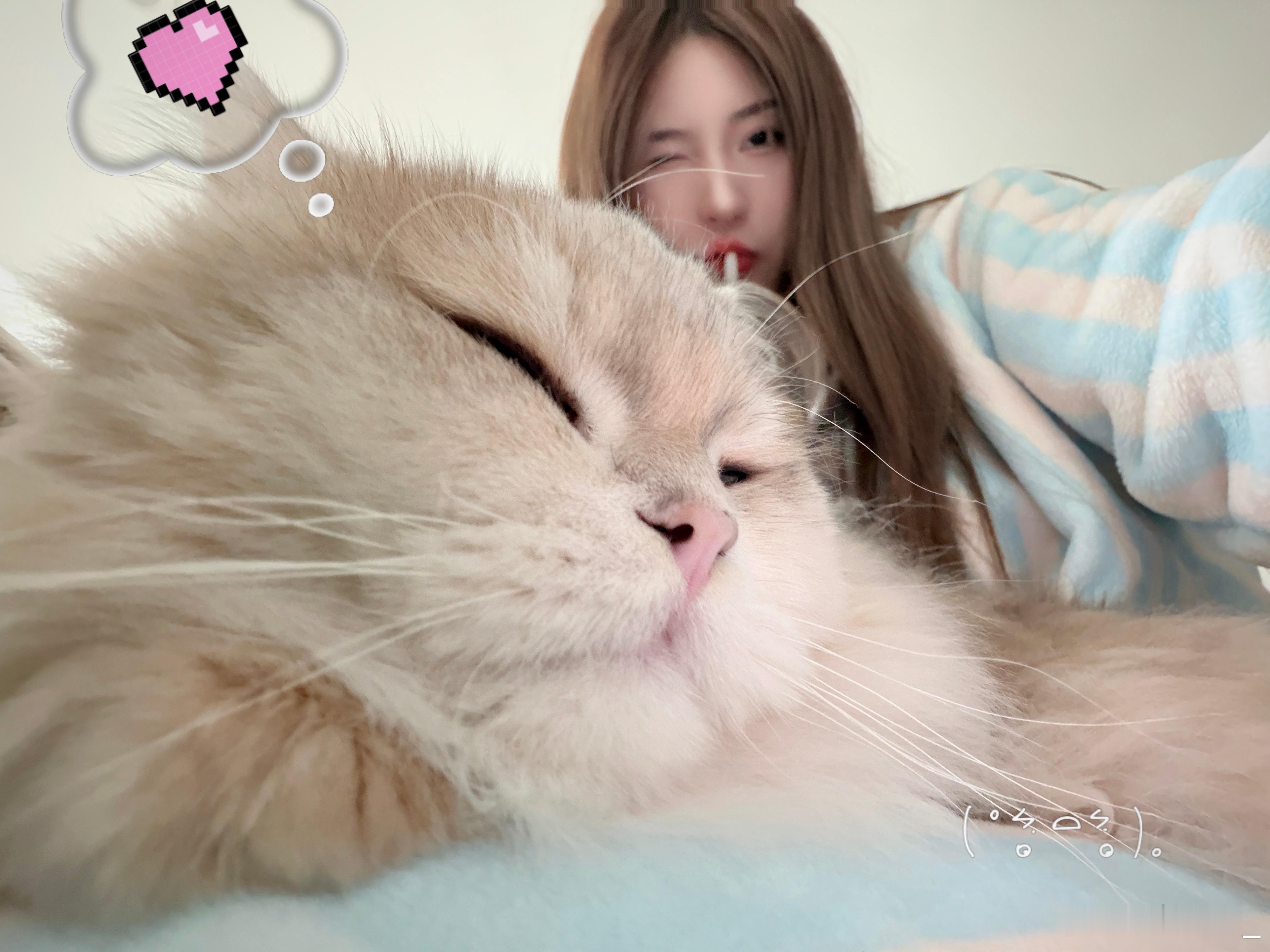 浑身上下软乎乎  爱吃爱睡像小猪🐖生活手记