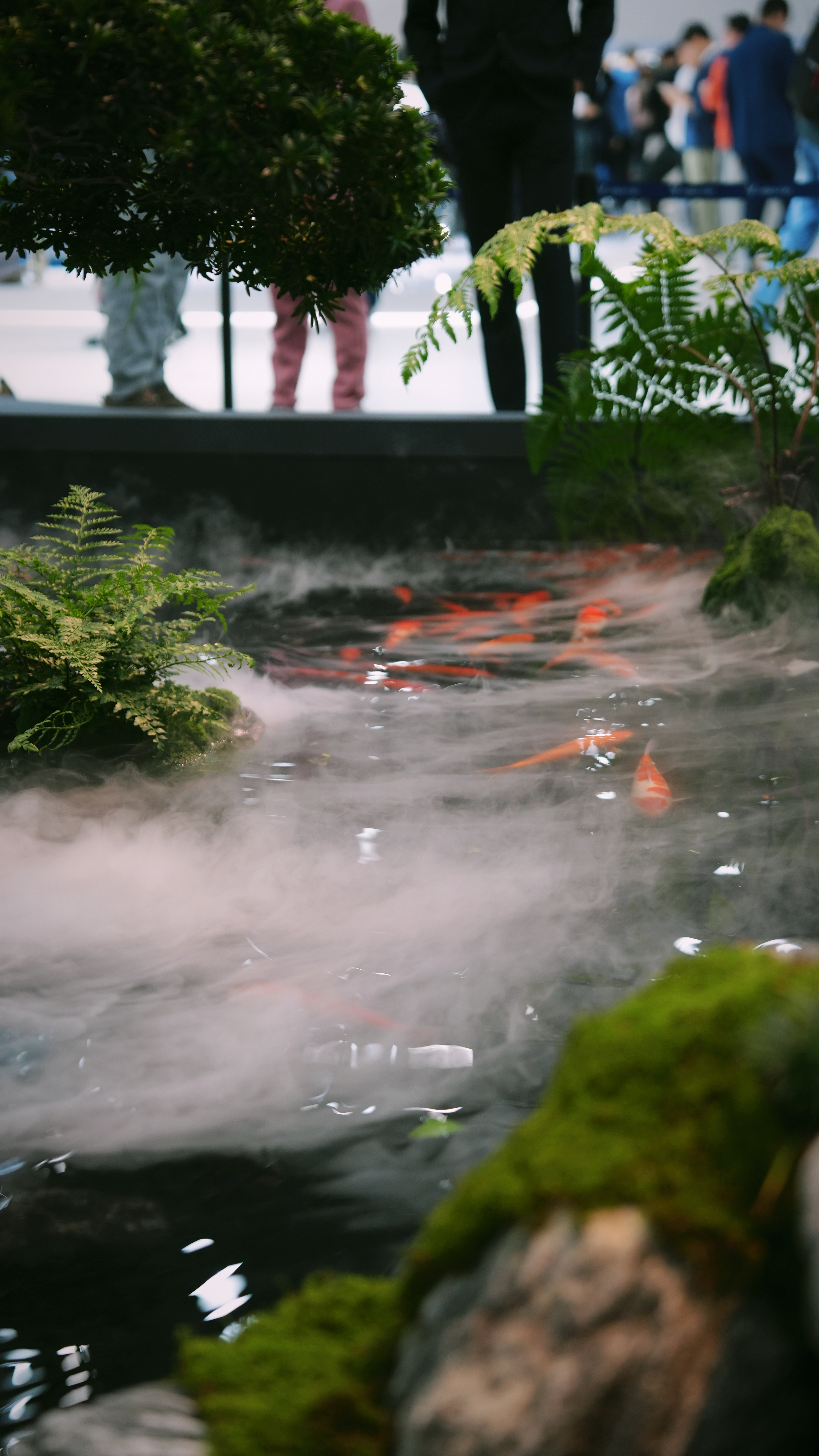 展台是真的是在养鱼，里面鱼游来游去的，弄的很有调性，因为这里放了一台梦想家山河版