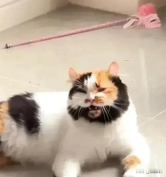 给2026的自己写句话53的自己，一定更懂得珍惜寻常的幸福。陪父母慢慢吃饭，听他