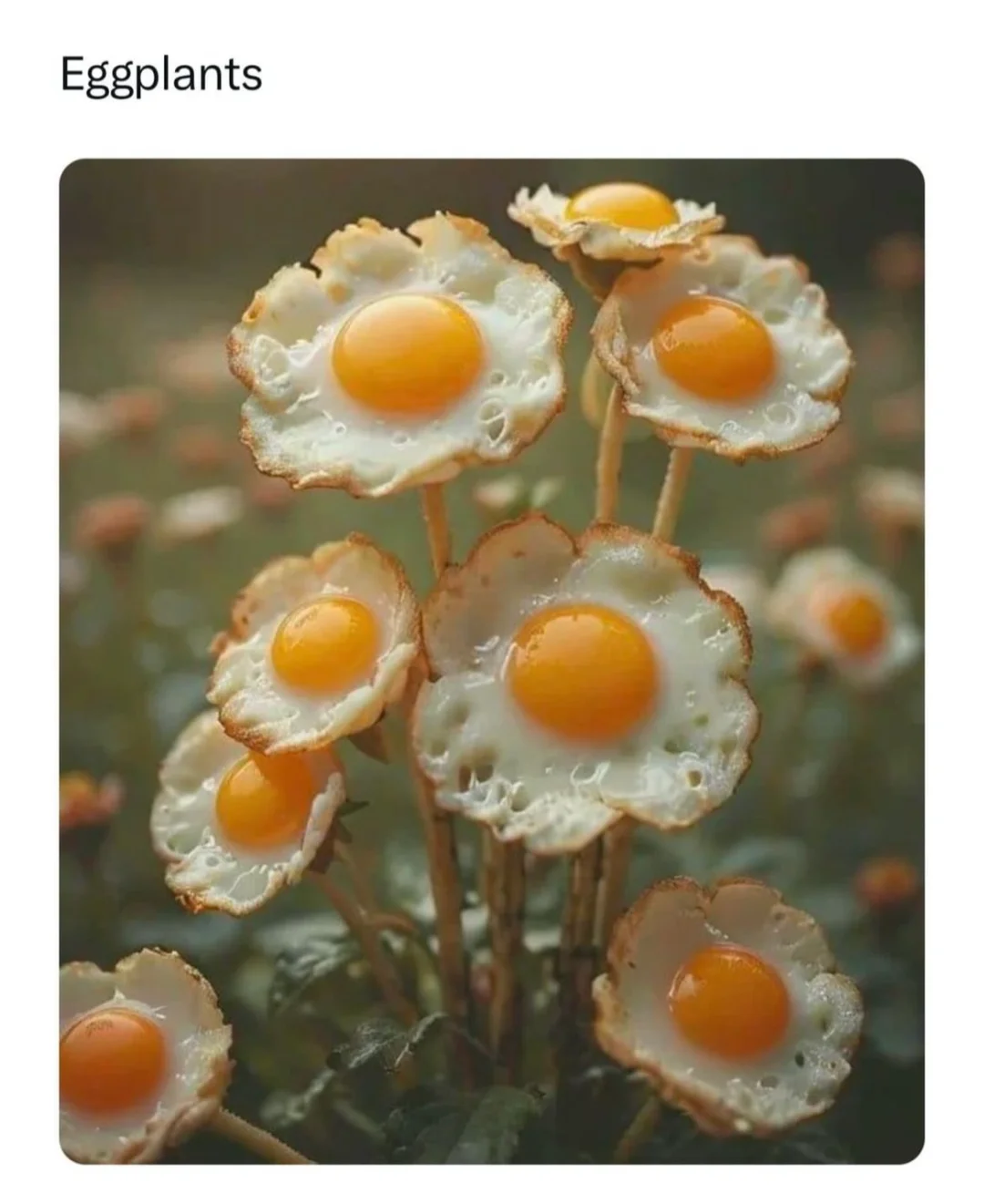 🍳🐻‍❄️英文双关puns冷笑话分享