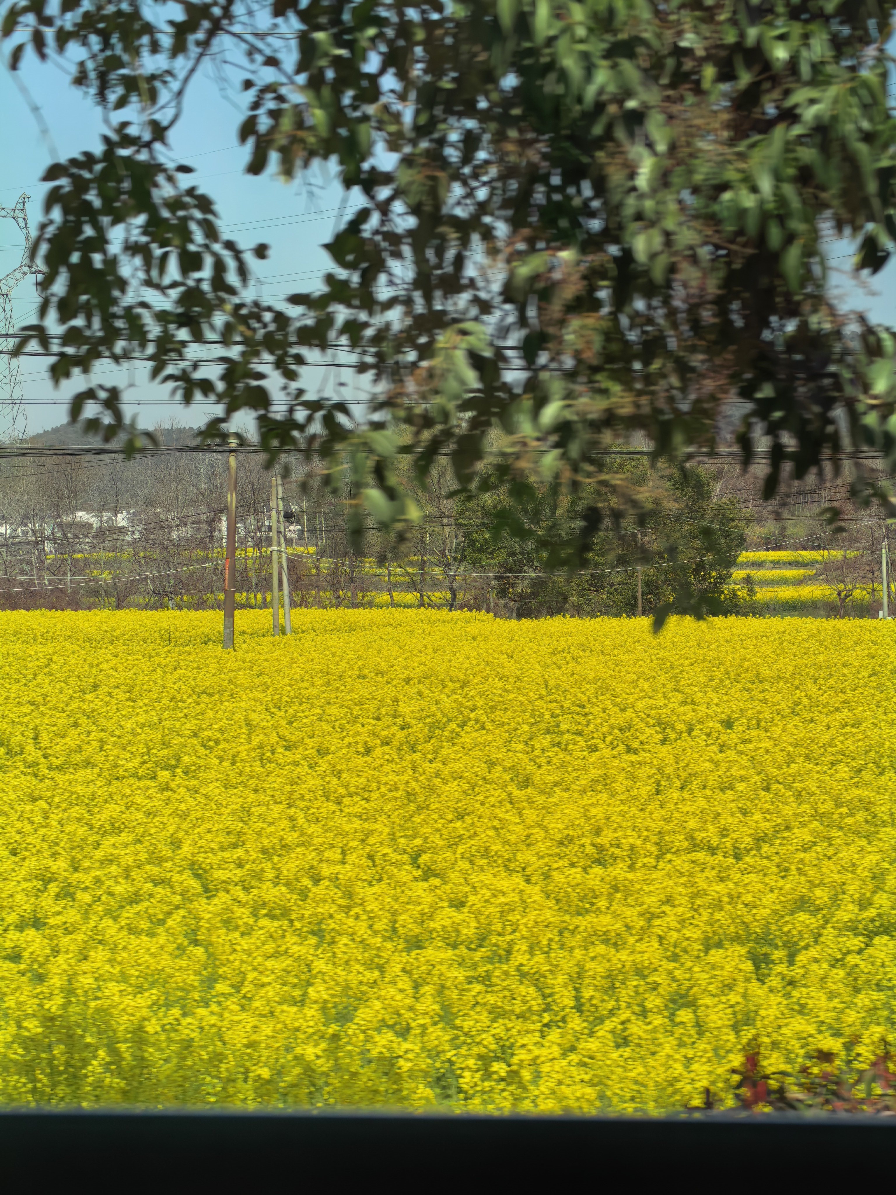 今天和易总从衢州直播到景德镇，银河M7用纯电开了228km，很实在的续航车圈牛马