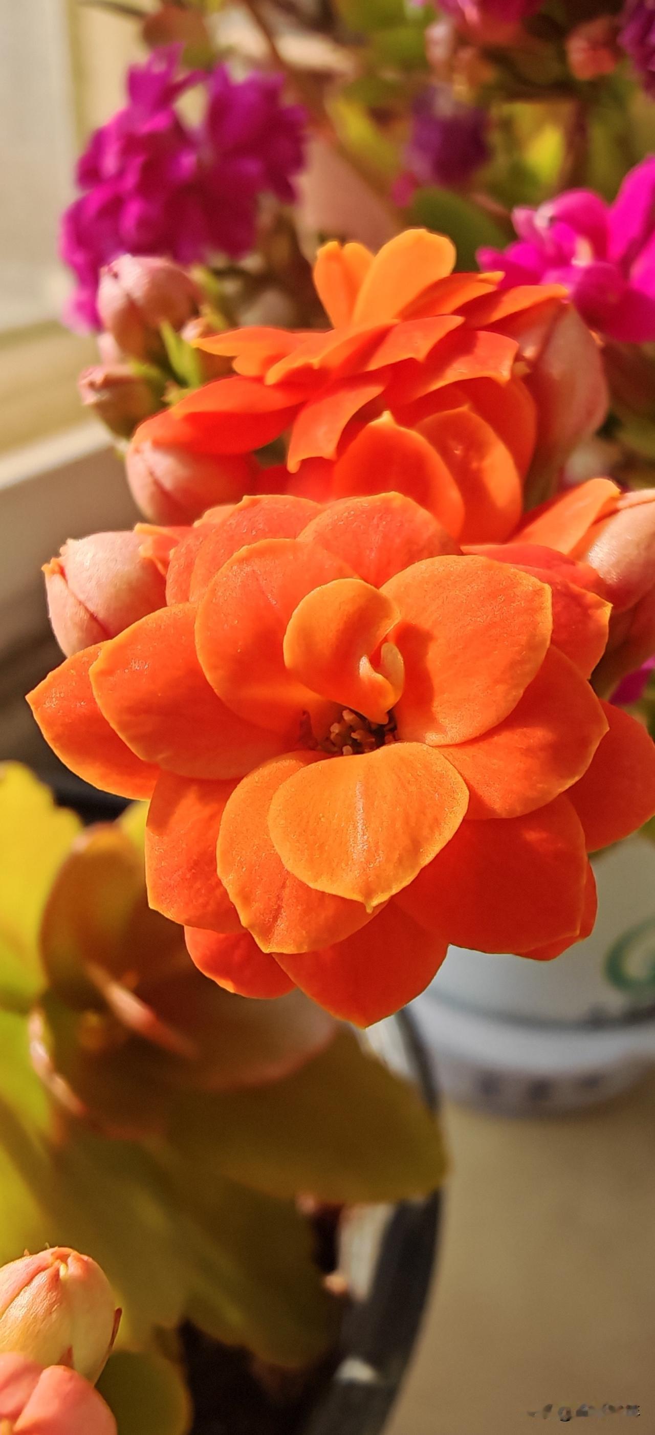 男人们，都说自己很厉害
吹牛一套一套的
那么问题来了
以下你能得几分？
1.老婆