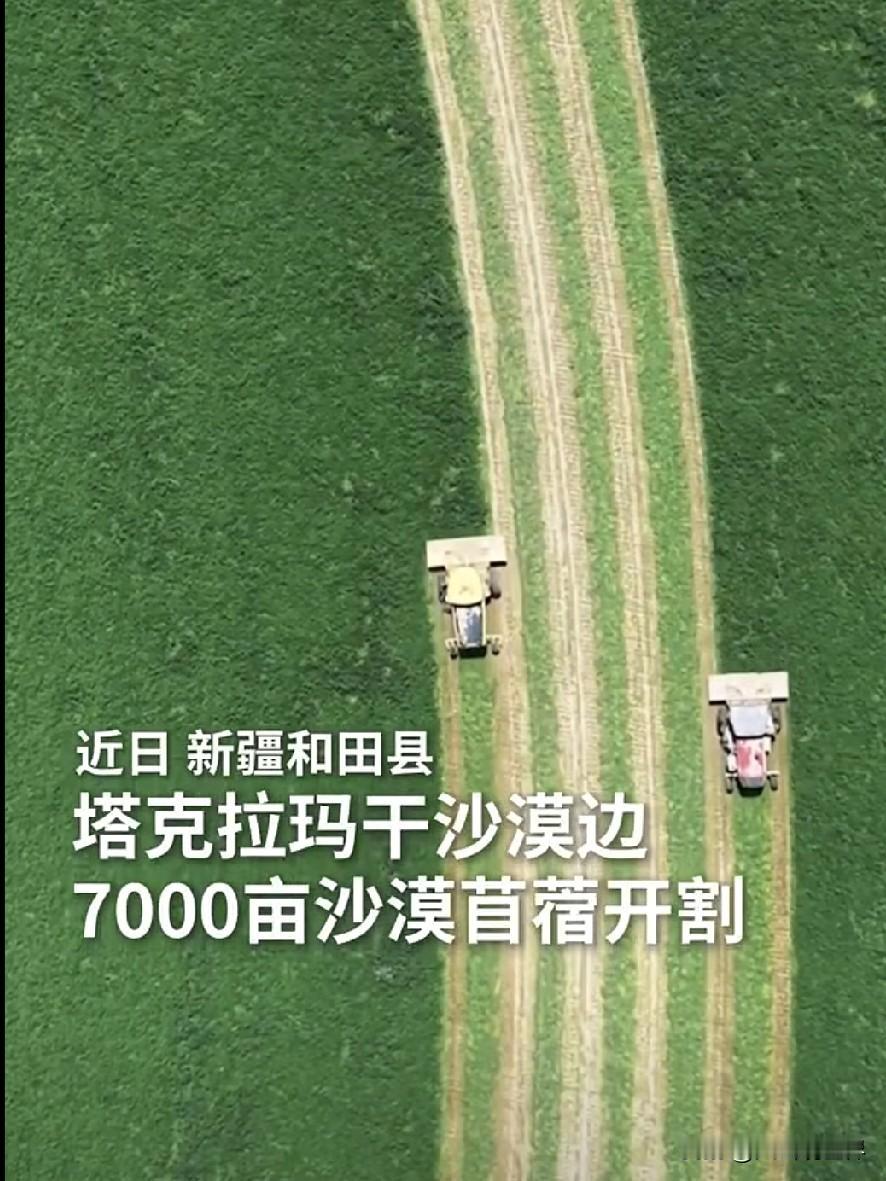 谁能想到！死亡沙漠边上，竟长出万亩翡翠绿
 
真的被新疆狠狠震撼到了😭
 
塔