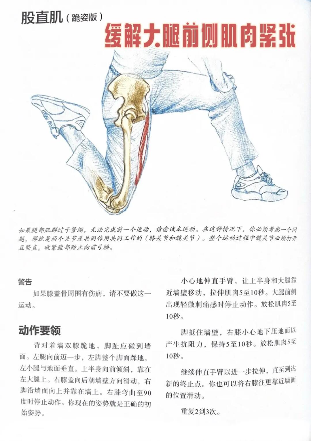 无痛拉伸❗️ 拯救紧绷股直肌（跪姿版）