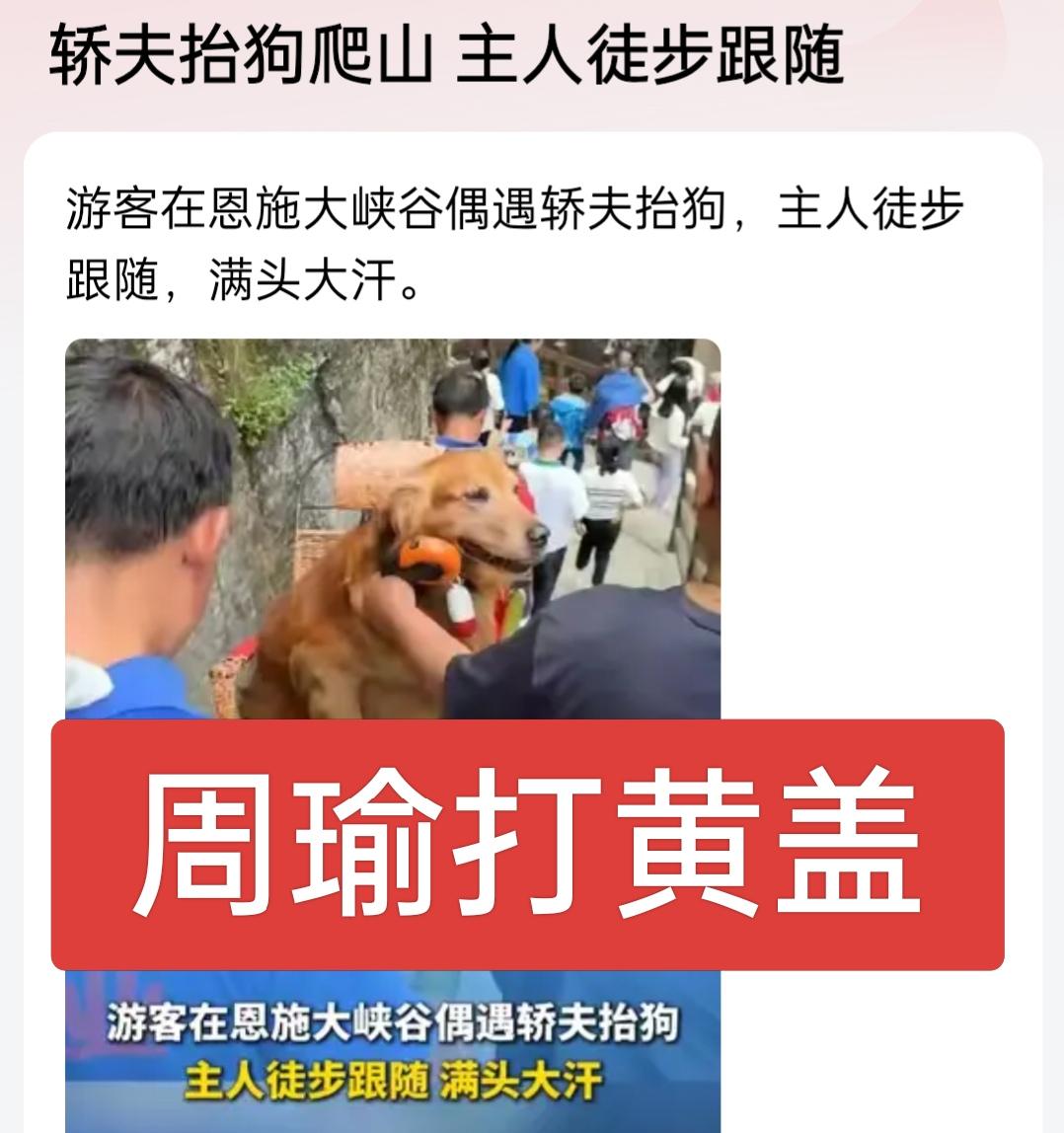 轿夫抬狗爬山，主人大汗徒步跟随，多么和谐的画面，主人不怕苦不怕累，宁肯自己累点也