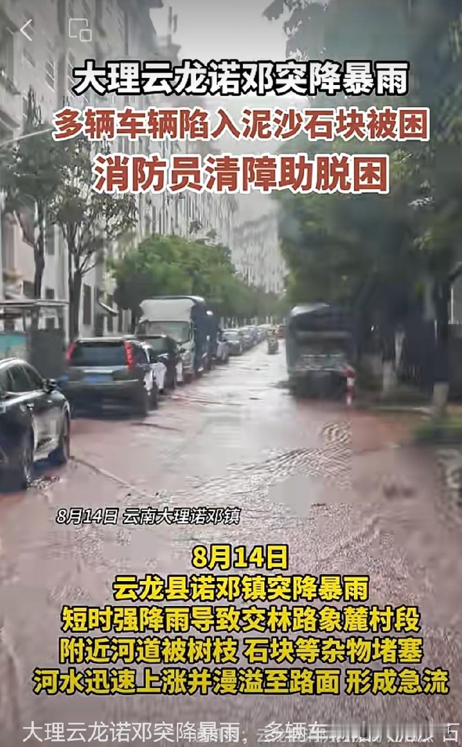 8 月 14 日，大理云龙诺邓那场暴雨来势汹汹，好多车直接陷进了泥沙石块中，动弹