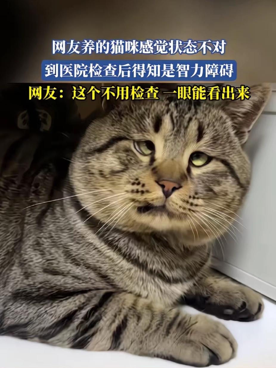退休以后，生活不是想象中的那样子！
想象中的退休生活，是心静自然凉，是坐看云起时