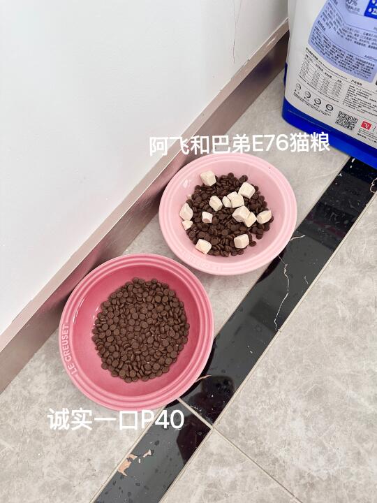 怎么事❗️阿飞和巴弟VS诚实一口谁还不会选❓