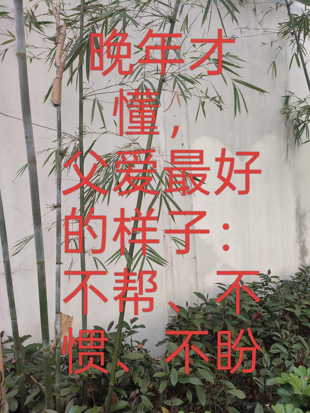 父亲最好的格局：一不帮，二不惯，三不想（全网点赞）
 
真正厉害的父亲，从不是把