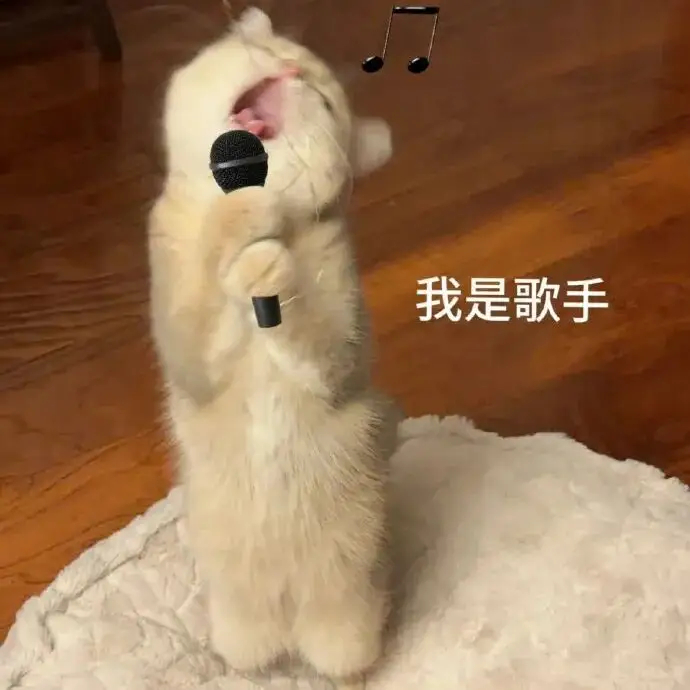又学了一个没用的冷知识：KTV的全称是Karaoke TelevisionKTV