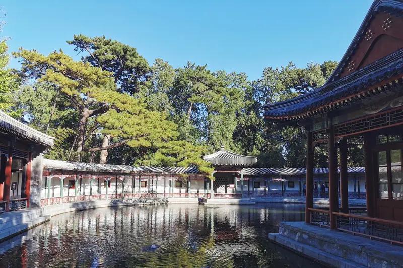 CBD中的‘心斋’实验：会议室改成打坐室后业绩翻倍
上海某外企将战略会议室改为「