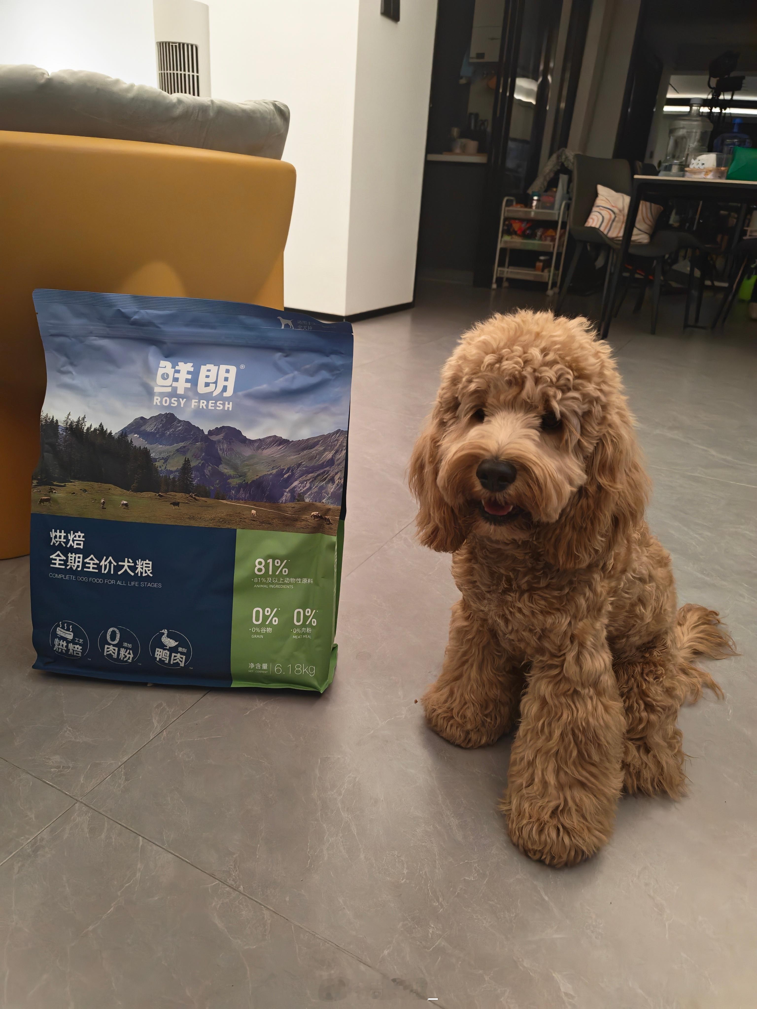 原来这才是正确的消费观给狗子换粮主打一个该省省该花花，35块的冻干配狗粮，营养到