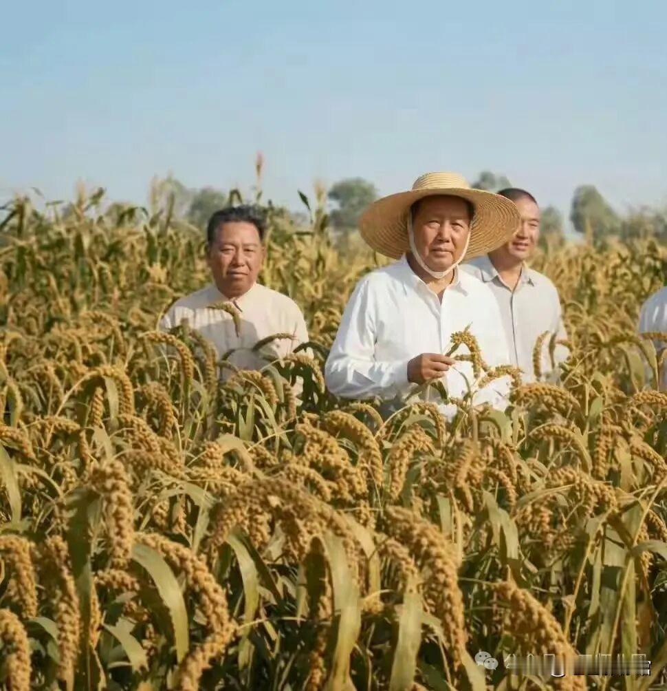 伟大的领袖毛主席，来源于人民，依靠人民，扎根于人民，一心一意为了人民！