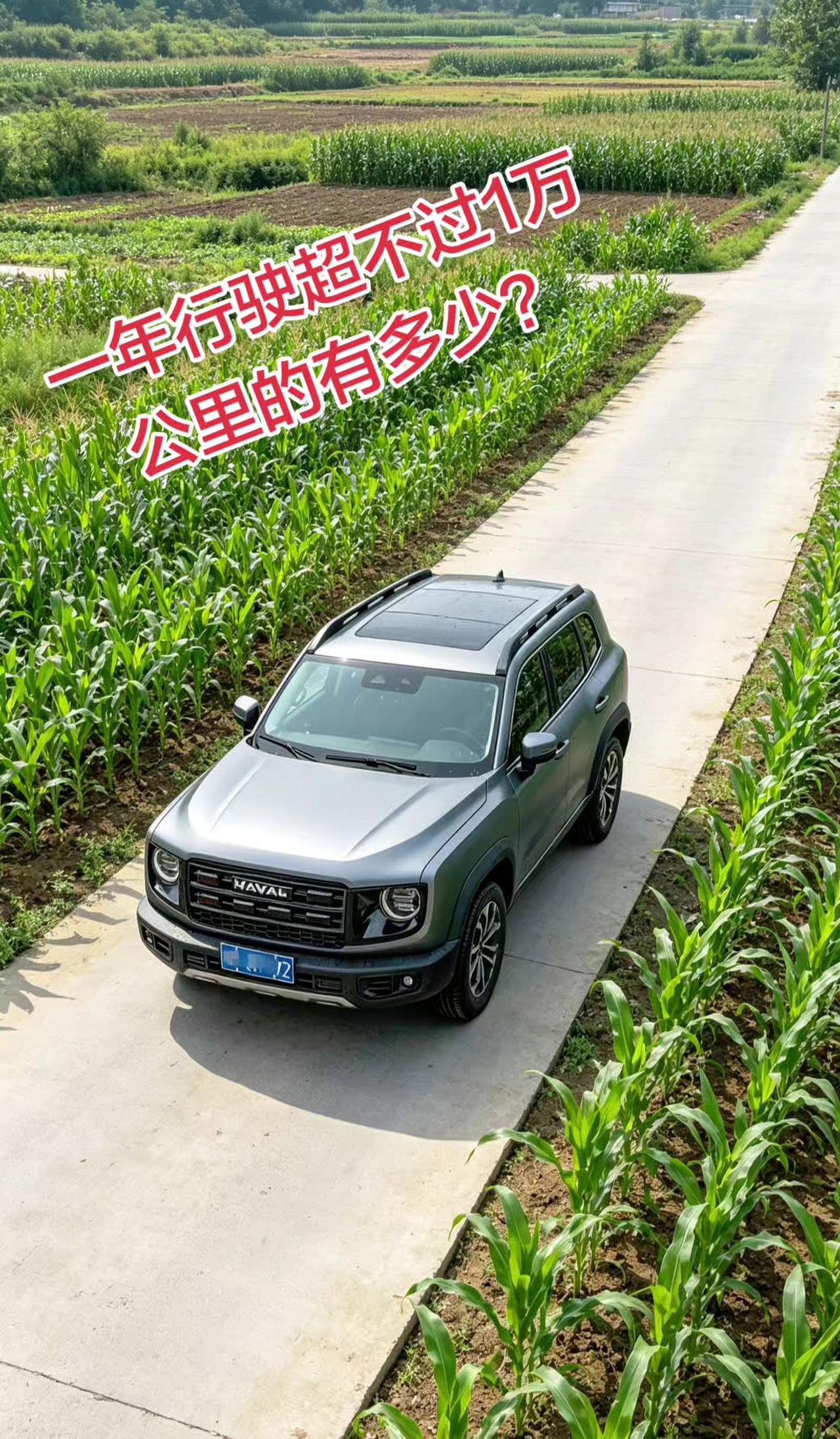 一年才跑了8000公里，在哈弗界算是什么级别？