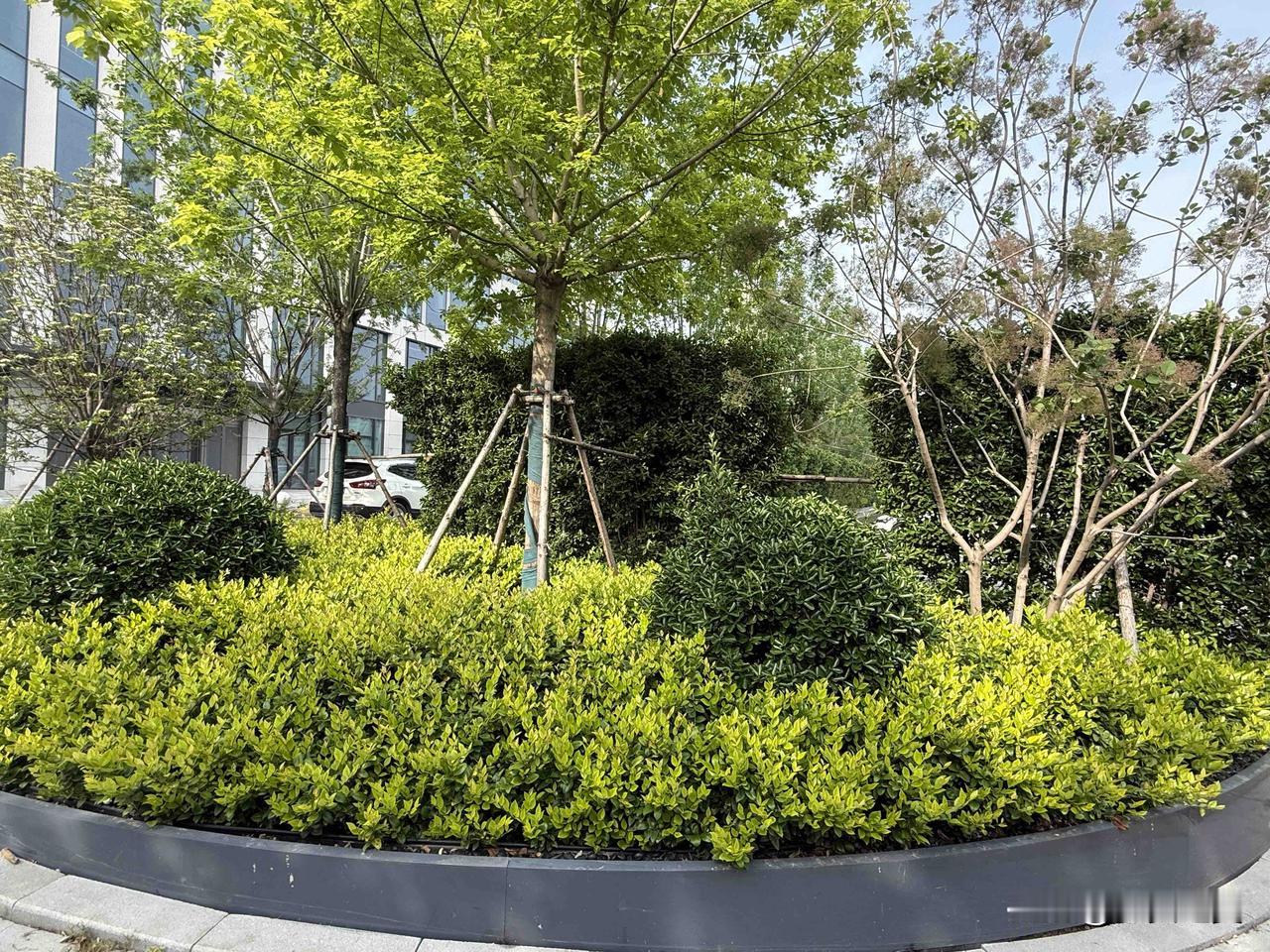 【小对联】
上：……？
下：贪杯。