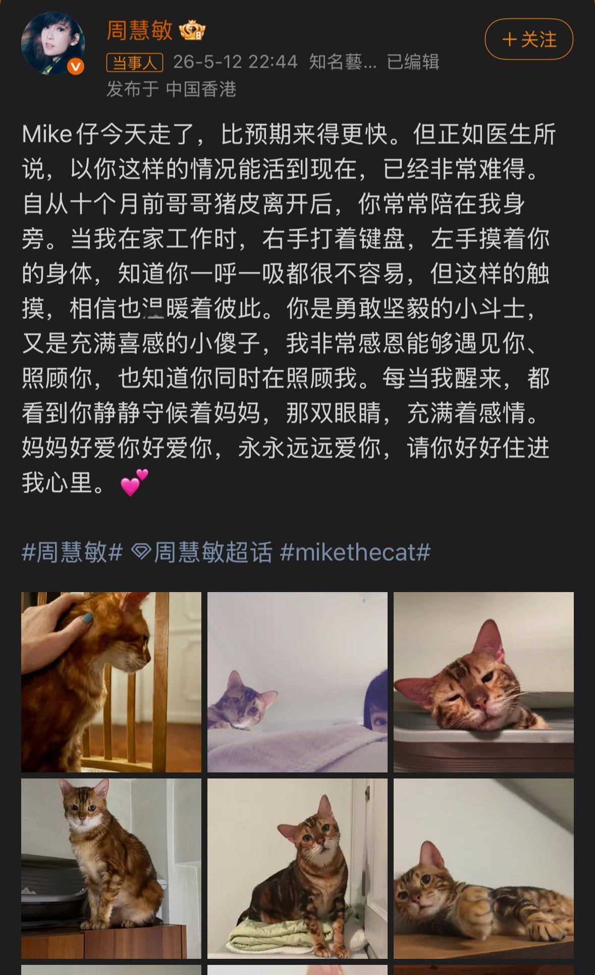 周慧敏的猫去世了明星也是普通人，把猫咪当家人走心悼念很正常。陪伴多年的猫咪离世，