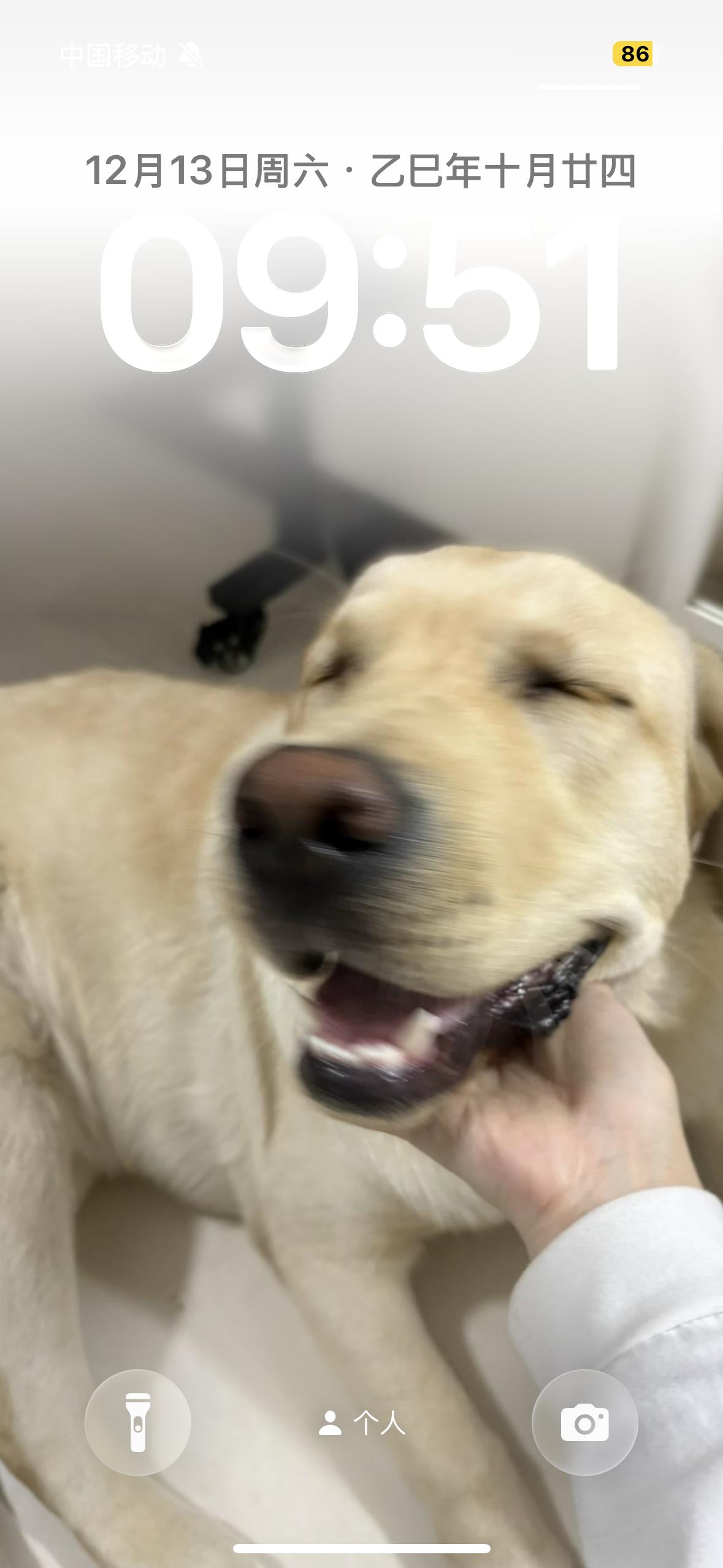 我的手机怎么更新成这样了…